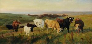 Evening Light — Henry William Banks Davis