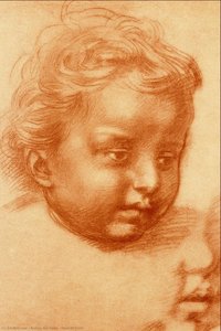 Head Of Child — Andrea Del Sarto