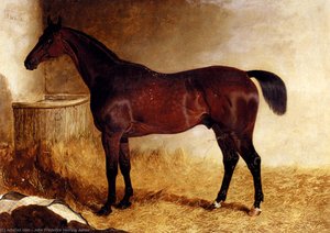 Flexible, A Chestnut Racehorse In A Loose Box — जॉन फ्रेडरिक हेरिंग जूनियर