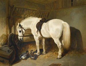 A Grey Pony In A Stable With Ducks — John Frederick Herring Senior