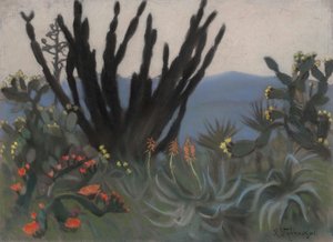 Cacti In Palermo — Kazimieras Stabrowskis