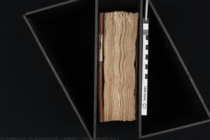 Manuscript Folio View 2 — Muḥammad Ibn Ismā‘īl Al-bukhārī