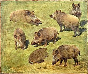 Sangliers Couchés Et Debouts — Bonheur Marie Rosalie