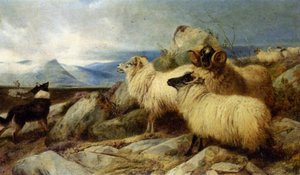 Herding The Flock — Richard Ansdell