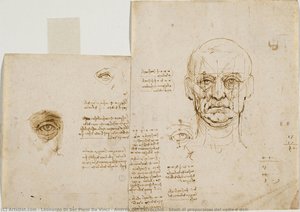 Studi Di Proporzioni Del Volto E Dell — Leonardo Da Vinci