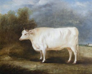 A Prize Ox In A Landscape — Sr John E Ferneley