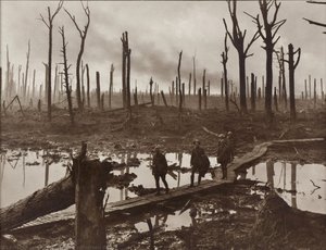 Chateau Wood — Frank Hurley