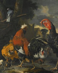 A Cockerel, A Turkey, Hens And Chickens In A Farmyard — Melchior De Hondecoetter