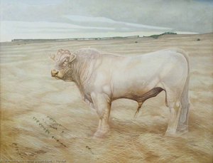 The Bull — Brian Joseph Fojcik