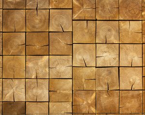 Frank Gehry