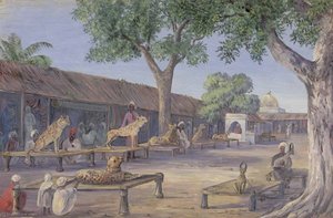 Straßen Der Jagd-cheetahs Und -löwen. Ulwar. Indien 1878 — Marianne North