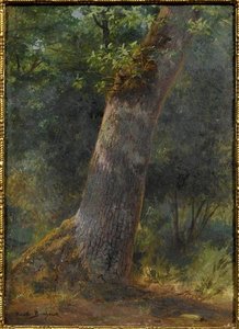 Paysage, Étude D'arbre — Bonheur Marie Rosalie