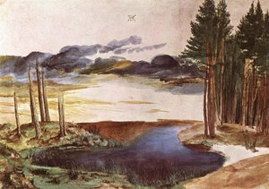 Pond Dans Les Bois — Albrecht Dürer