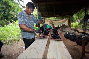 Placing The Indigo Paste On Tiles For The Final Drying — Fidel Ugarte