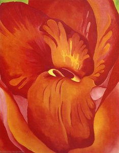 Canna Rosso E Arancione — Georgia O'keeffe
