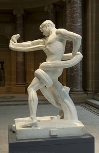 An Athlete Wrestling With A Python — Clare Veronica Hope