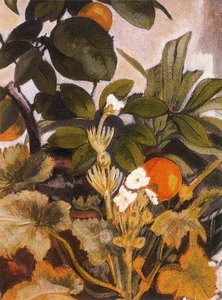 Tropical Plants — Charles Demuth
