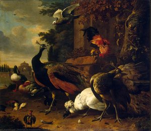 Birds In A Park — Melchior De Hondecoetter