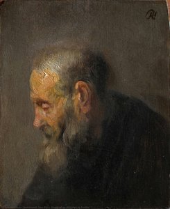 Estudio De Un Hombre Viejo En Perfil — Rembrandt Van Rijn