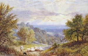 A Shepherd And His Flock On A Hillside — Alfred I Glendening