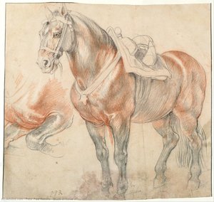 Etude Of Horse — Petr Pavel Rubens