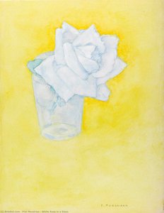Rosa Blanca En Un Vaso — Piet Mondrian