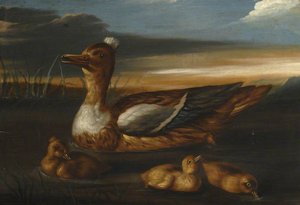 Duck And Its Brood — Francis Barlow