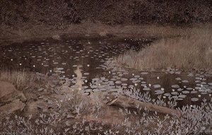 Lily Pond — Theodor Kittelsen