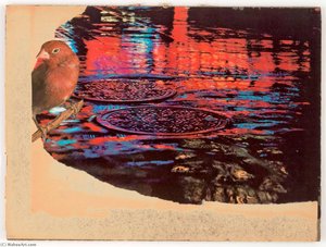 Untitled (rainy Street With Sewer Covers) — Џозеф Корнел