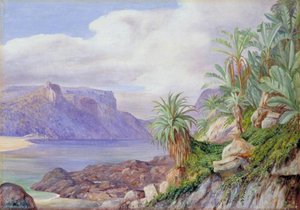Blick Flussaufwärts Von Der Mündung Des St. John's River, Kaffraria — Marianne North