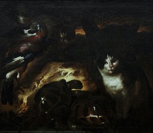 Cat, Tortoises And Birds — Il Grechetto