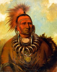 Kleiner Wolf (shon-ta-ye-ga) — George Catlin