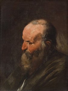 Head Of An Old Man — Da Pier Francesco Mola