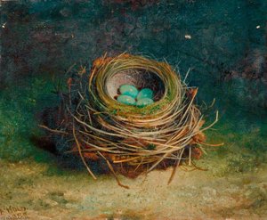 Nest Of A Song Thrush — Abel Hold