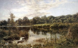 Bollemosen — Peder Mørk Mønsted