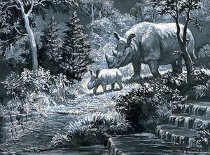 Dioramas Of Pleistocene, 'dicerorphinus Kirchbergensis (merckii Anctt)', (interglacial Forest Rhinoceros) — Margaret Maitland Howard