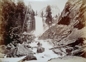 Untitled (aqtdkk) — Carleton Watkins