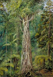 Marianne North