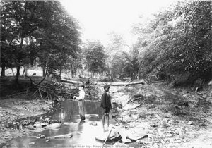 Boys Near Log, Piney Branch, Washington, D.c. — Smith, Hamilton Sutton