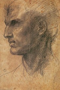 Testa Di Un Uomo Di Profilo Rivolto A Sinistra — Andrea Del Sarto