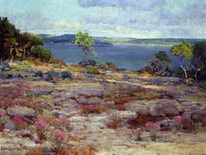 Mountain Pinks In Bloom, Medina Lake, Southwest Texas — Robert Julian Onderdonk