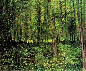 Árboles Y Arbustos 2 — Vincent Willem Van Gogh