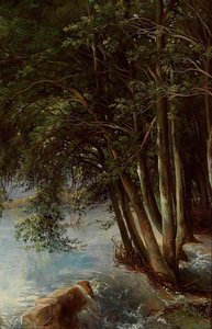 Trees At The Bank — Alexandre Calame