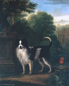 Muff, A Black And White Dog — John Wootton