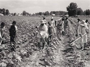 Black Workers — Marion Post Wolcott