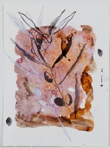 Spirit Of The Olive Tree Series Of 8 — Graça Morais Goih