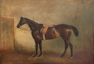 A Bay Hunter — John Ferneley, Snr