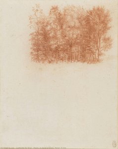 Recto: Kúplet Stromov. Verso: Strom — Leonardo Da Vinci
