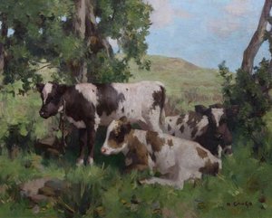 Calves In Summer — David Gauld