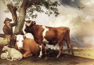 Young Bull — Paulus Potter